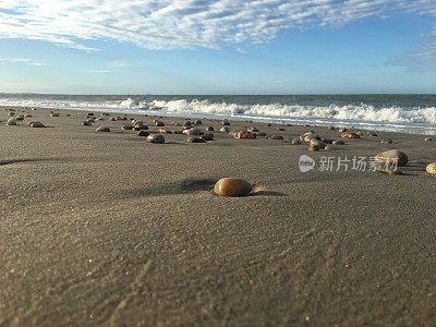 福塔莱泽， 坎布科， 巴西风筝冲浪天堂